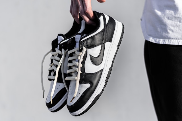 paire de low dunk nike