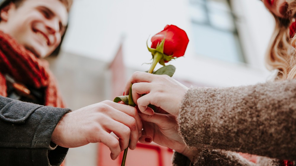 homme offrant une rose à une femme