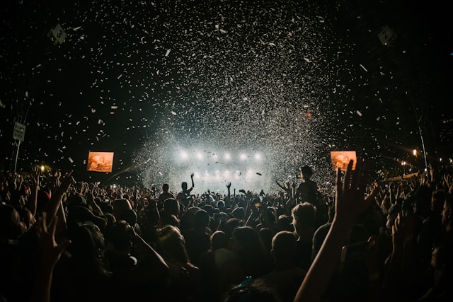 personnes se rassemblant sur un concert